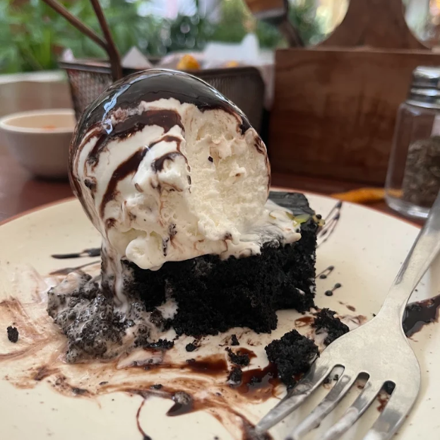 Untitled design (15)