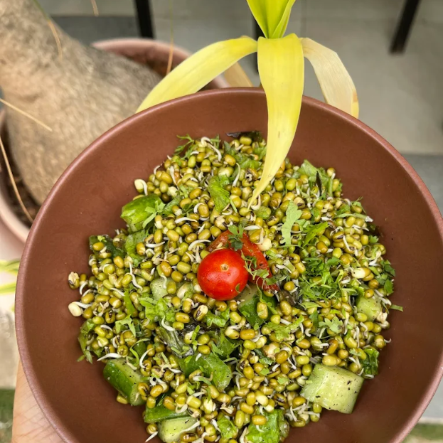 Untitled design (17)